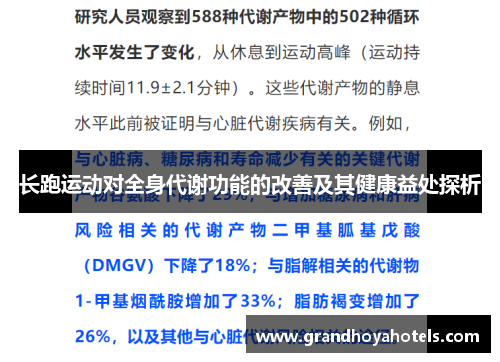 长跑运动对全身代谢功能的改善及其健康益处探析