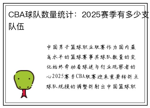 CBA球队数量统计：2025赛季有多少支队伍